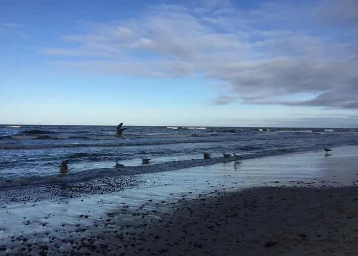 Апартаменты Apartament_20 Дзивновек